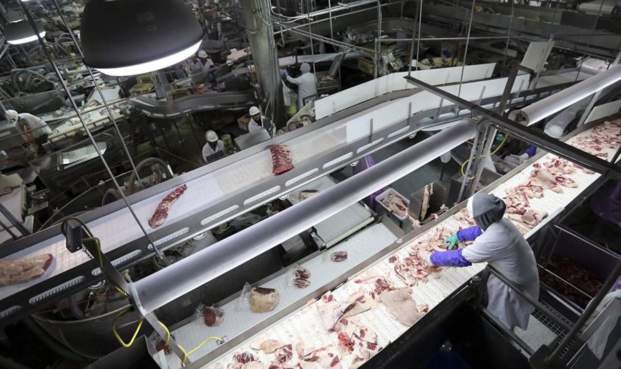 屠宰場污水處理設備價格多少錢-藍膜