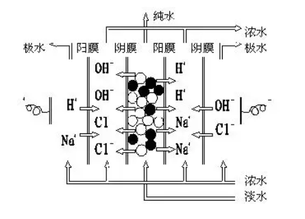 edi模塊內(nèi)部結(jié)構(gòu)圖-藍(lán)膜
